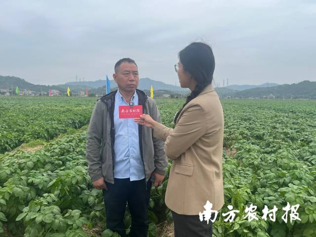 惠州市惠和山农业发展有限公司马铃薯种植技术员何志强