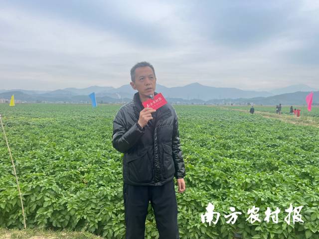 广东省农科院作物研究所副研究员安康