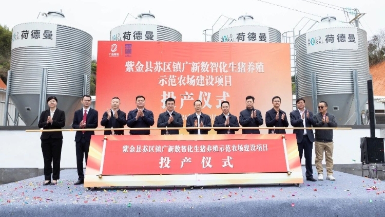 智能引领，河源紫金广新数智化生猪养殖示范农场竣工投产