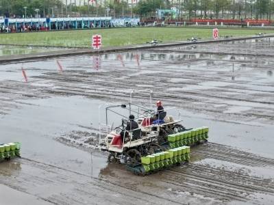 护航35万农户！人保超百亿保障守护湛江春耕