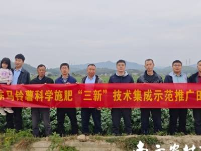 广东冬种马铃薯用“良种良技良法”守丰收