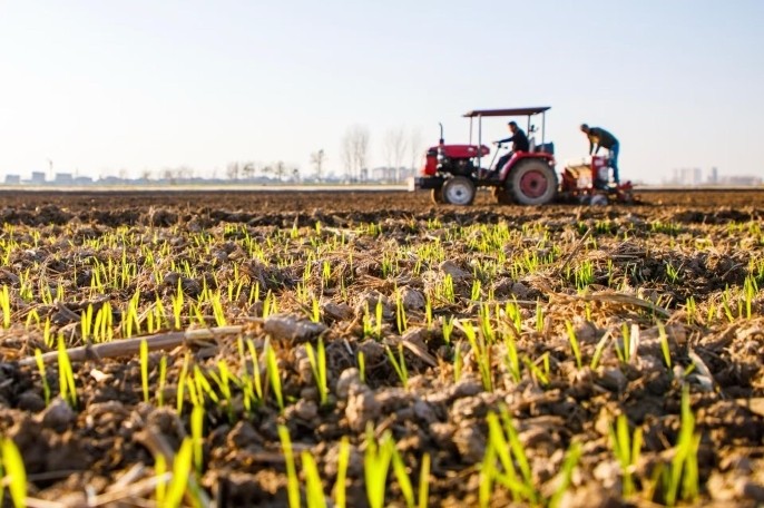 怎样补上中国式现代化最大短板？ | 问道“十五五”⑦
