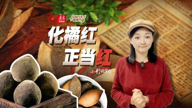 化橘红正当红｜小影VLOG