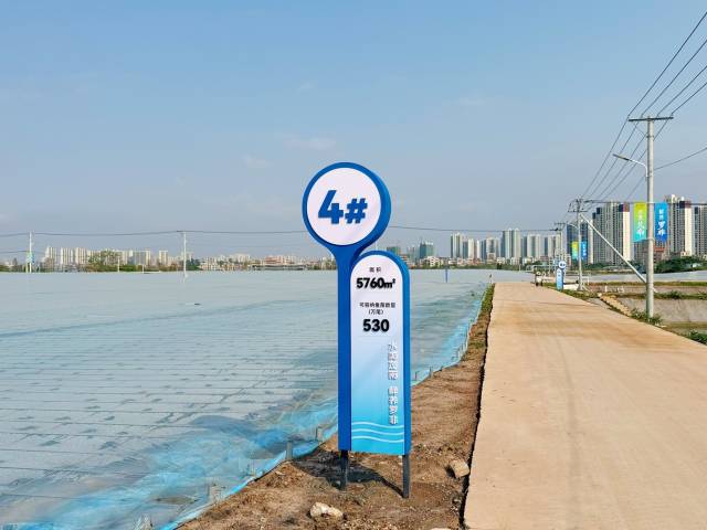 广东宝路生物科技有限公司育苗基地。（陈诺 摄）