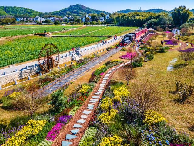 广州市黄埔区的迳下村是乡村绿化美化典范之一