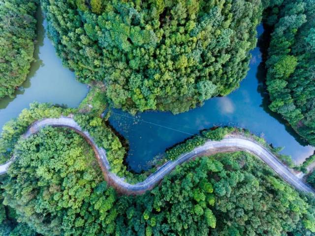 云勇林场用67年光阴将荒山秃岭蜕变为森林覆盖率98.36%的生物多样性宝库  