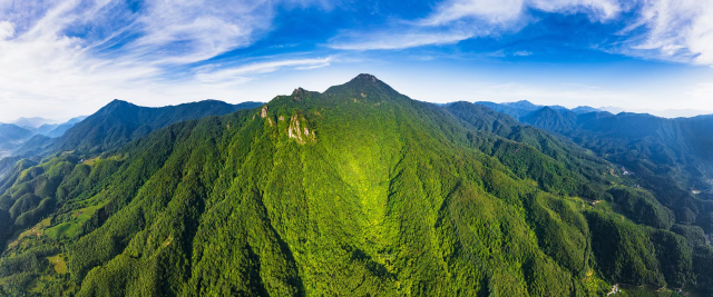 如今的岳山林场满目苍翠 吴勇强摄