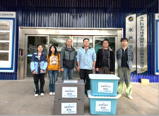 罗非医生服务队