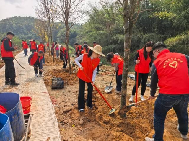 新圩镇开展上灯“添绿”行动。