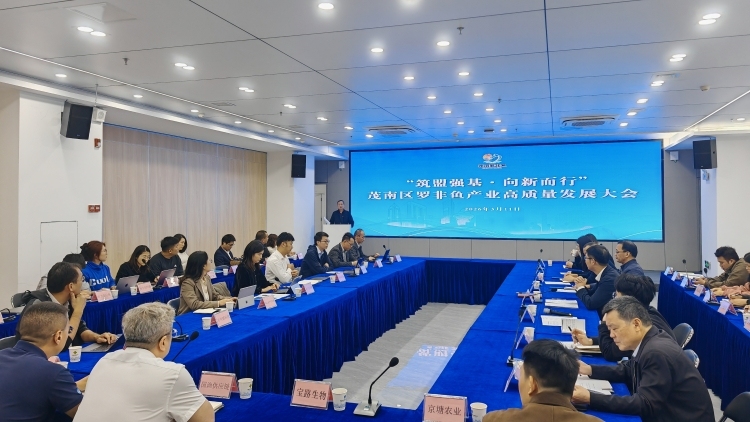 茂南罗非鱼：剑指百亿 向新而行