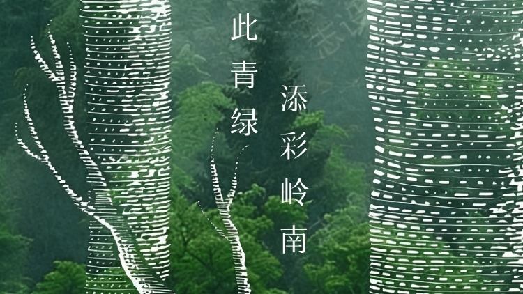 南农晨读丨植此青绿 添彩岭南