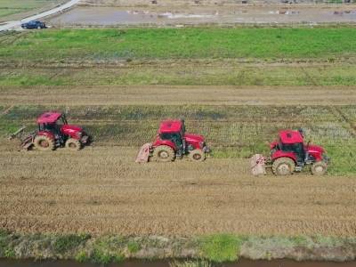 去年佛山粮食总产、单产创近十年新高