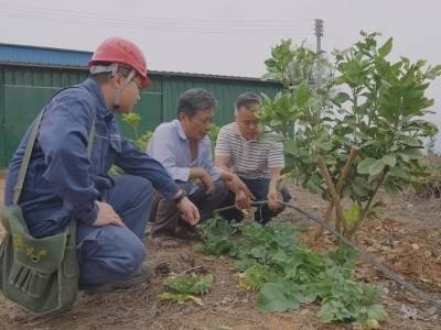 电润橘红香 振兴百亿路