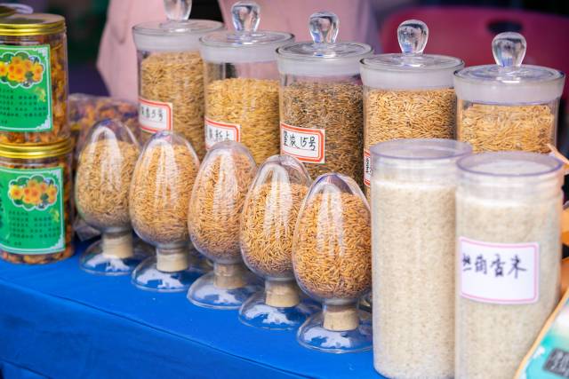 肇庆春耕会上，展示了多个丝苗米新品良种。