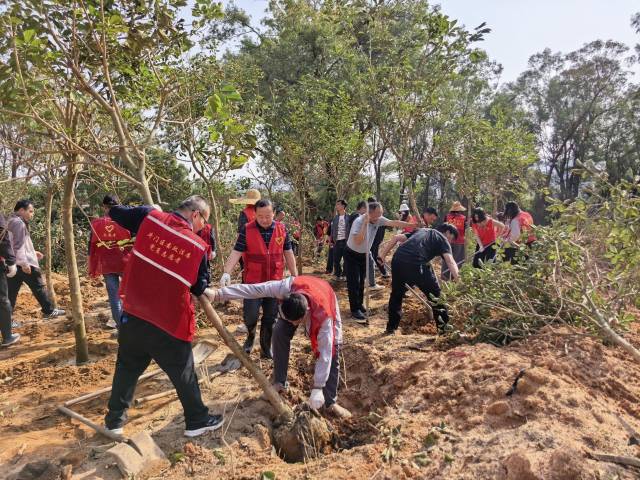 珠海举行“绿美珠海”启动仪式暨“珠海市总商会林”绿美植树活动