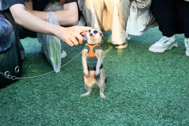 图源：华南农业大学