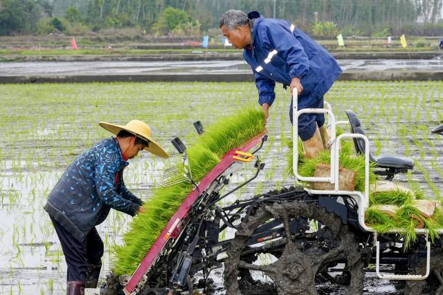 人机协作，绘出“人勤春来早”的春耕图景。