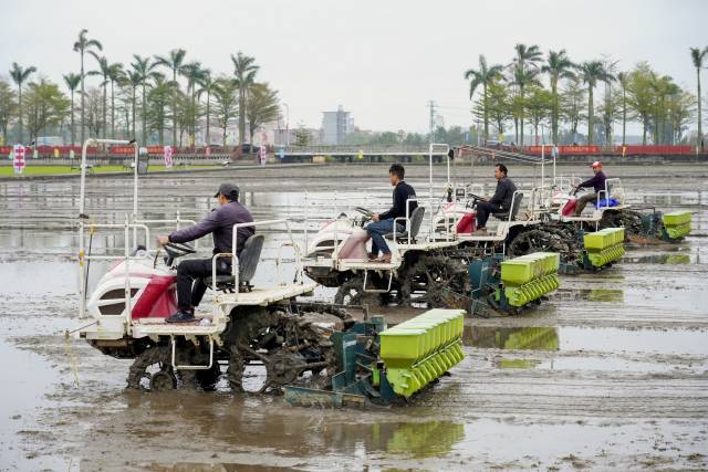 湛江已连续两年实现粮食面积、单产、总产“三增长”。