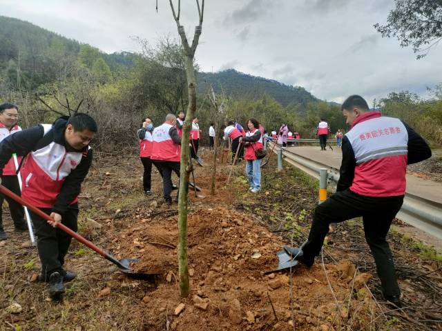 韶关开展“共植乡村绿·共享韶关美”植树共建主题党日活动  