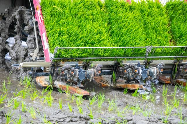 过去农耕靠人力，如今“铁牛”下田，春耕效率大大提升。