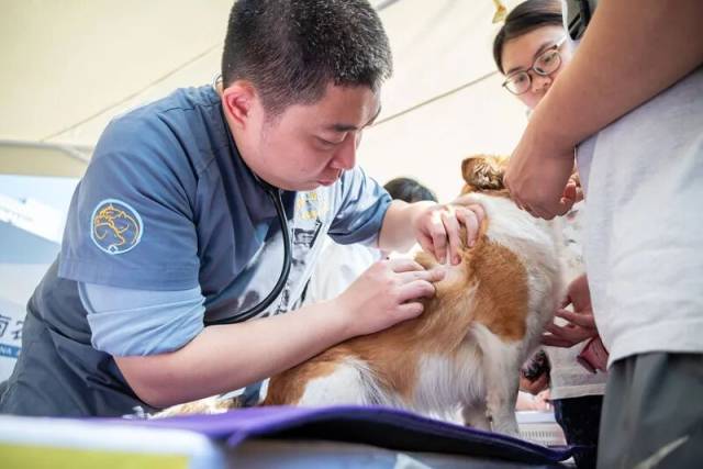 图源：华南农业大学