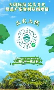 扫码参与绿美广东古树认捐项目