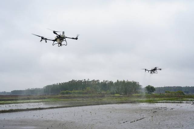 在湛江春耕会，植保无人机演示施肥过程。