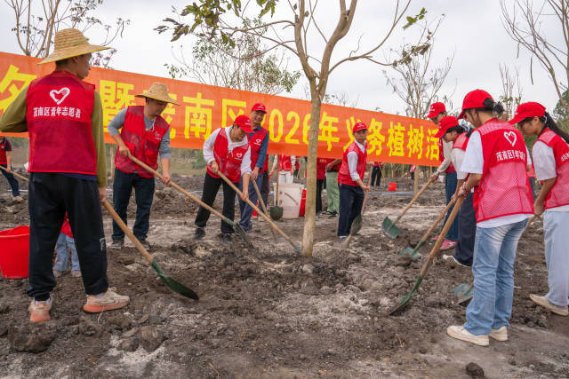 茂名青年志愿者参与植树活动