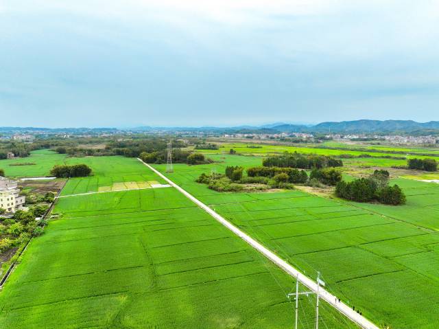 肇庆怀集，田畴万里，种下勃勃生机。