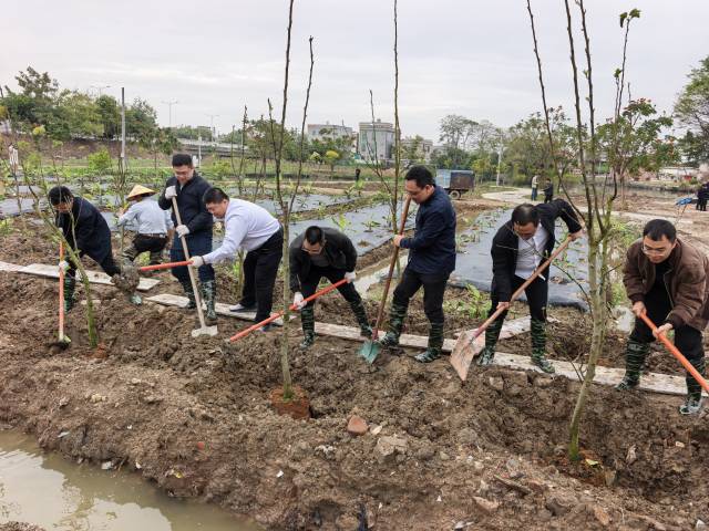 潮州开展“绿美潮州 青年先行”植树活动