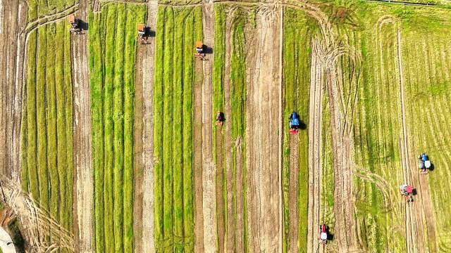 江门台山，“广东第一田”农机轰鸣，开启春耕序曲。