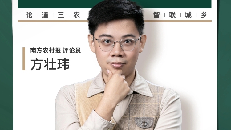 兴农评丨人均拥有树木百棵，为何还要年年植树