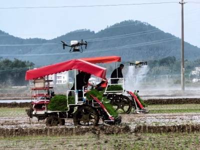 漠阳时评丨把“会议桌”搬到田埂，为何农户直呼“对味”？