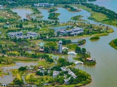 深读｜红树林挣来百万营收，中山探出绿美“生意经”