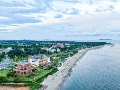 茂名滨海新区：绿美行动绘就“山海并茂”画卷