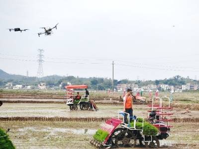 天上飞，田里跑！农业新质生产力赋能阳江春耕