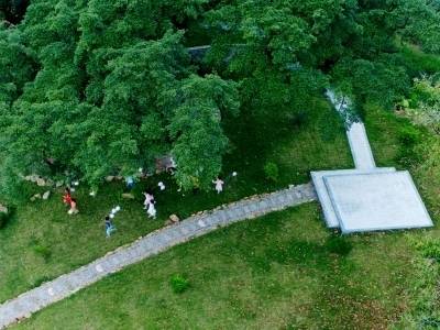 南方惠评｜一棵树到一片林，惠州这样绿美出圈