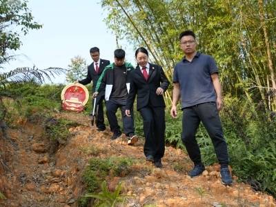 化解昨天的“结”，植下今天的树！开平法院把“和谐”种进心里