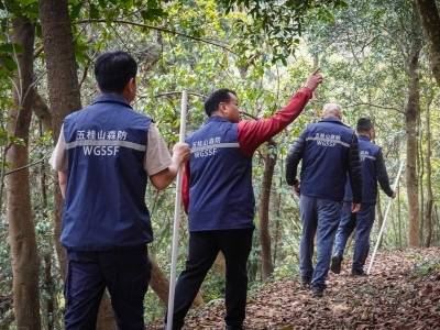 深读｜中山的4万株野沉香和101次深夜救援