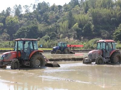 铁牛遍野备春耕！汕尾打好春耕备耕“主动仗”