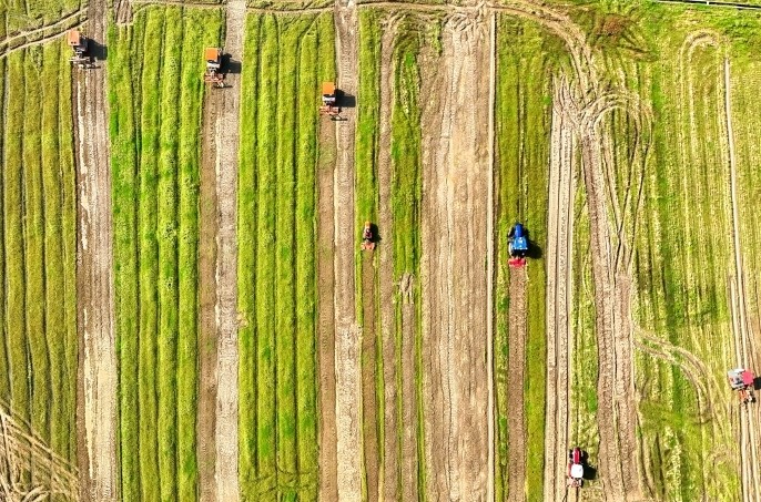 AI下田，“智”绘春耕