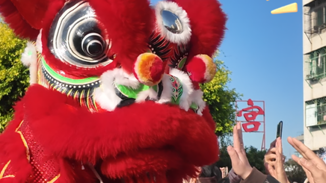 视频 | 你伸手、TA接住，潮州街头这场双向奔赴好暖