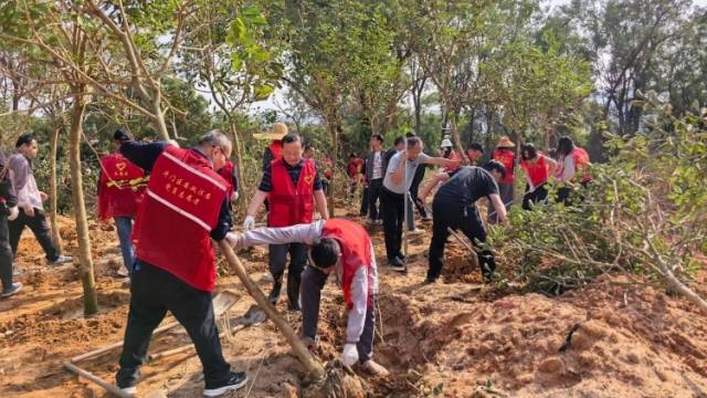 推动全民植绿！广东今年已发布各类义务植树尽责活动239个