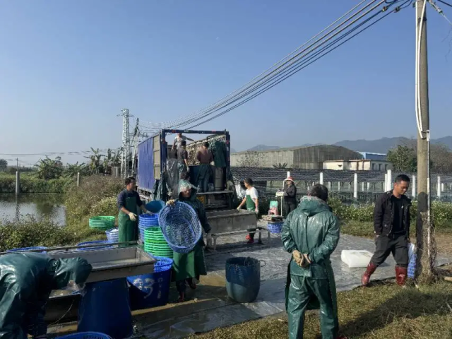 南方农村报 徐建杭 拍摄