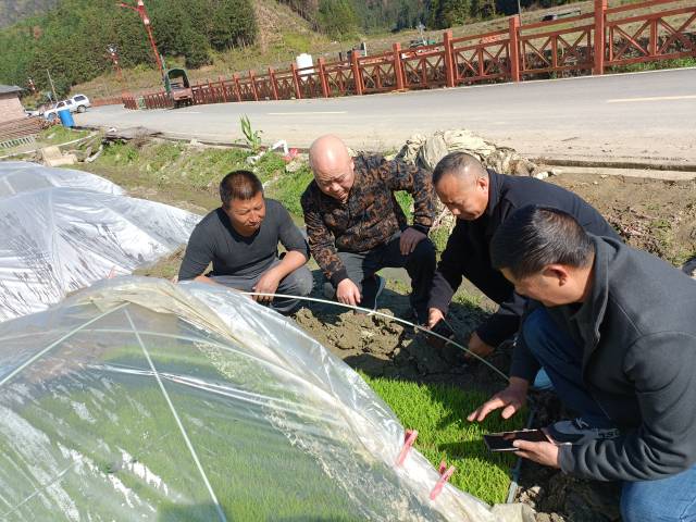 南方农村报 徐建杭 绘图