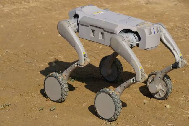 机器狗模拟巡田操作。（徐臻 摄）