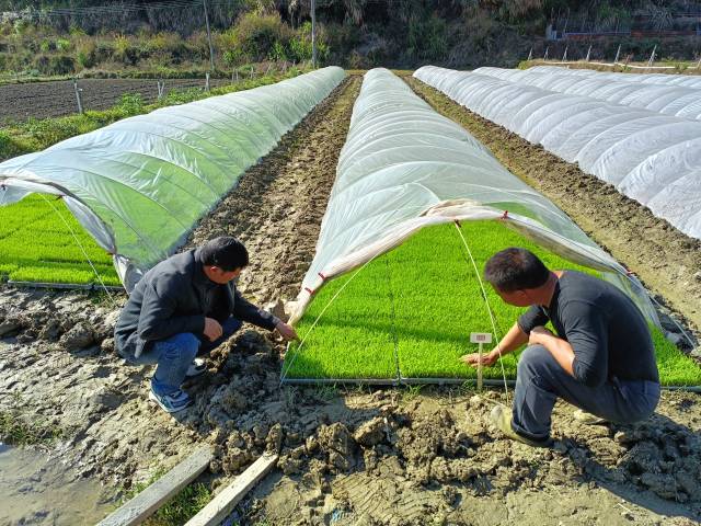 南方农村报 徐建杭 绘图