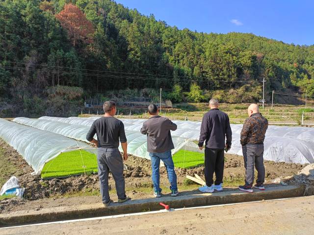 南方农村报 徐建杭 绘图