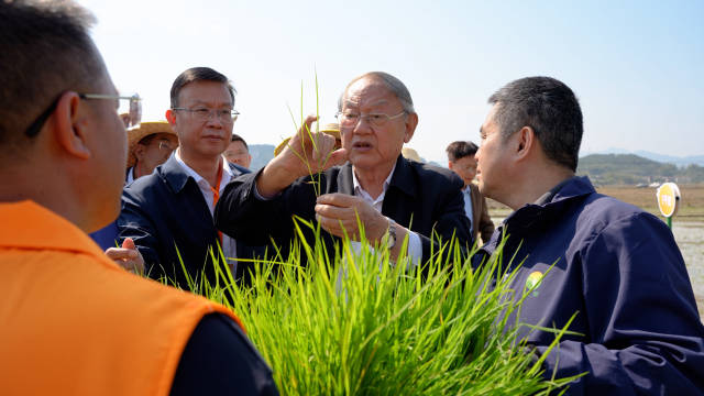 罗锡文指导封开春耕生产。