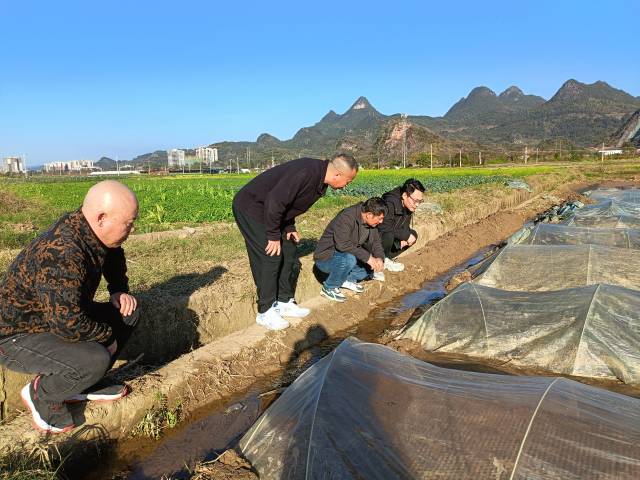 南方农村报 徐建杭 绘图